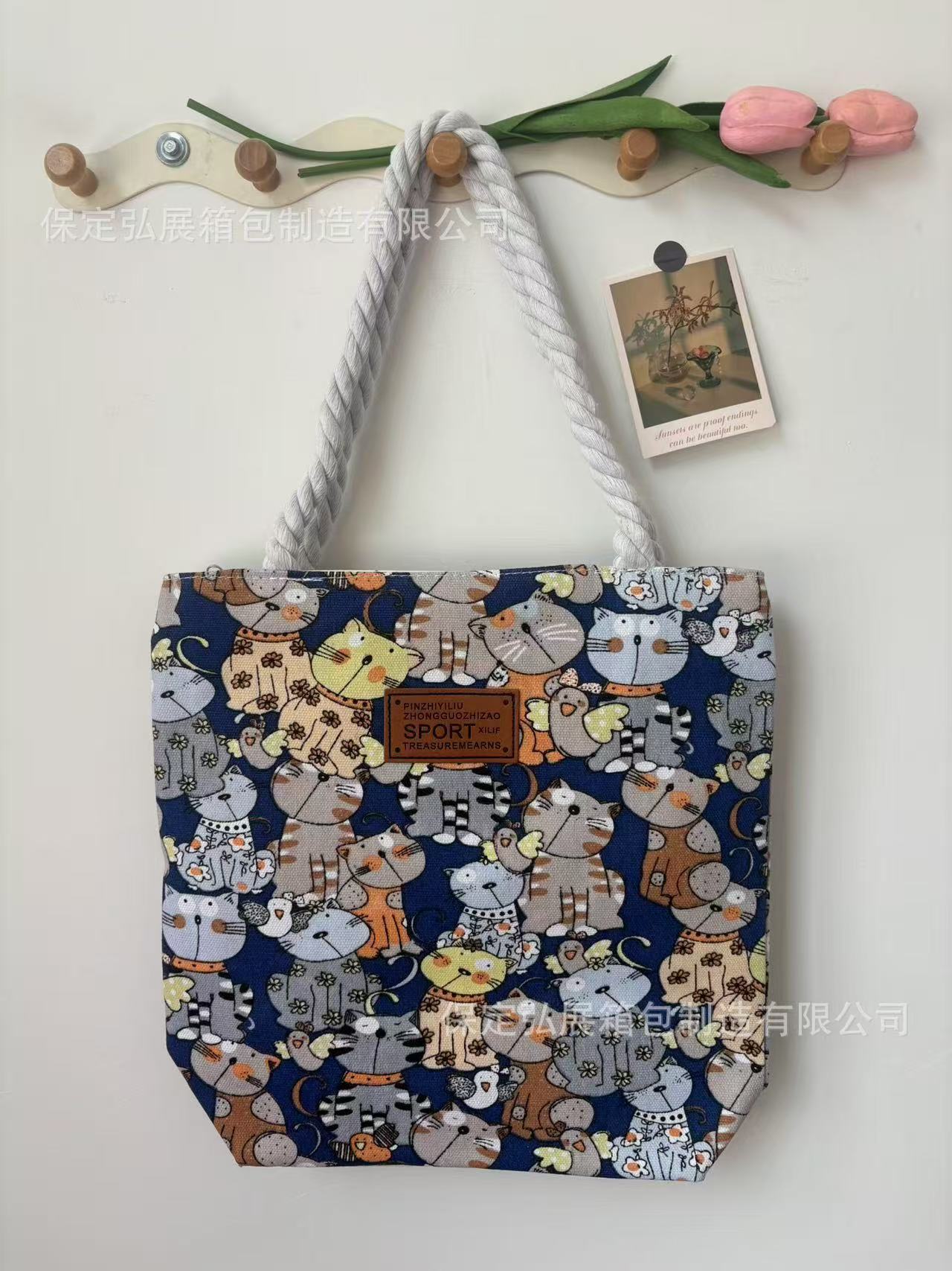 B015# 手提包图片 005